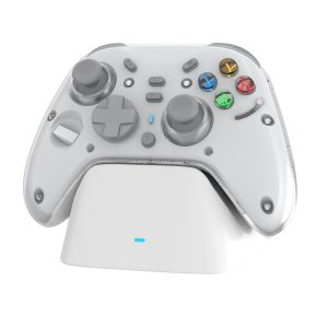 Nintendo Switch Gamepad