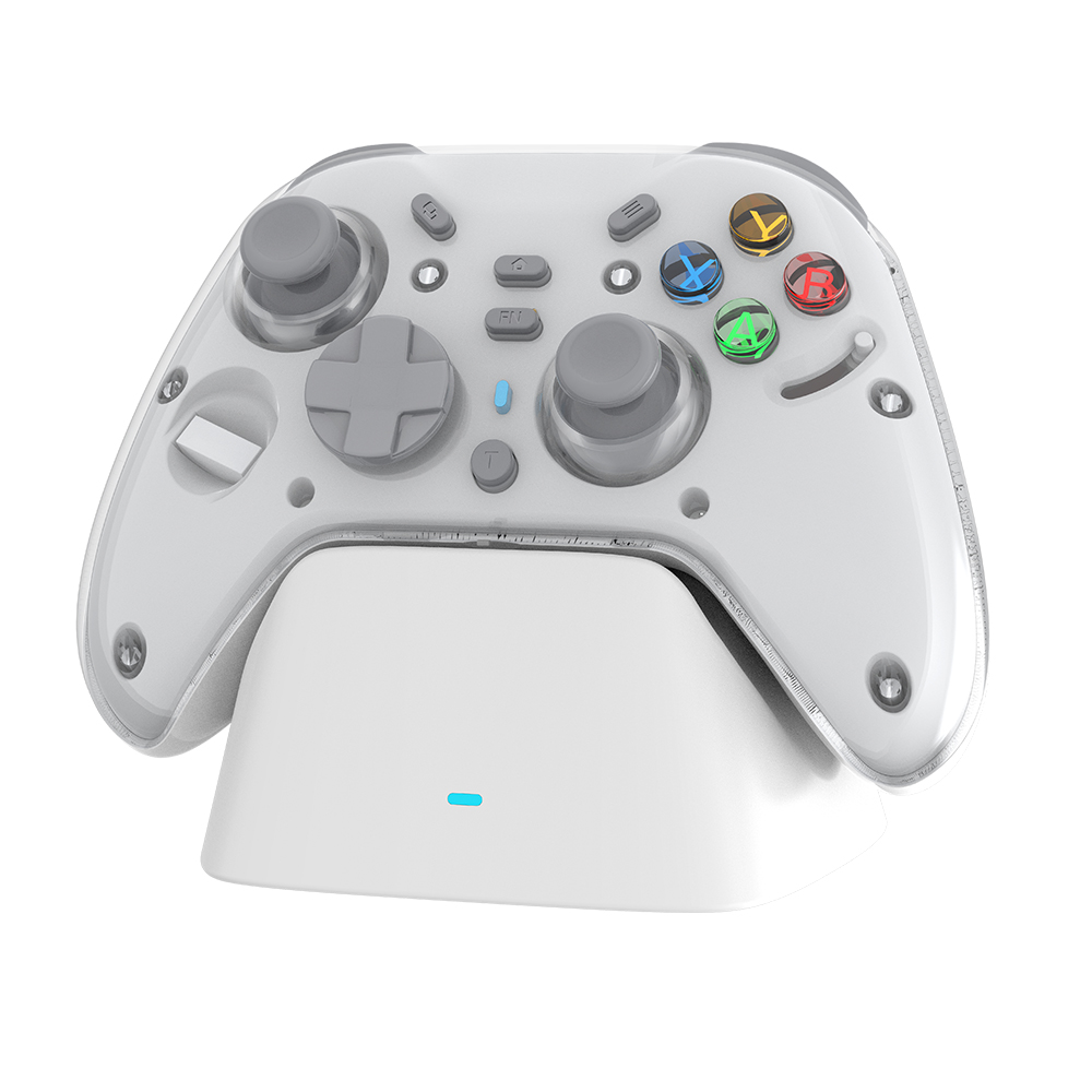 Nintendo Switch Gamepad