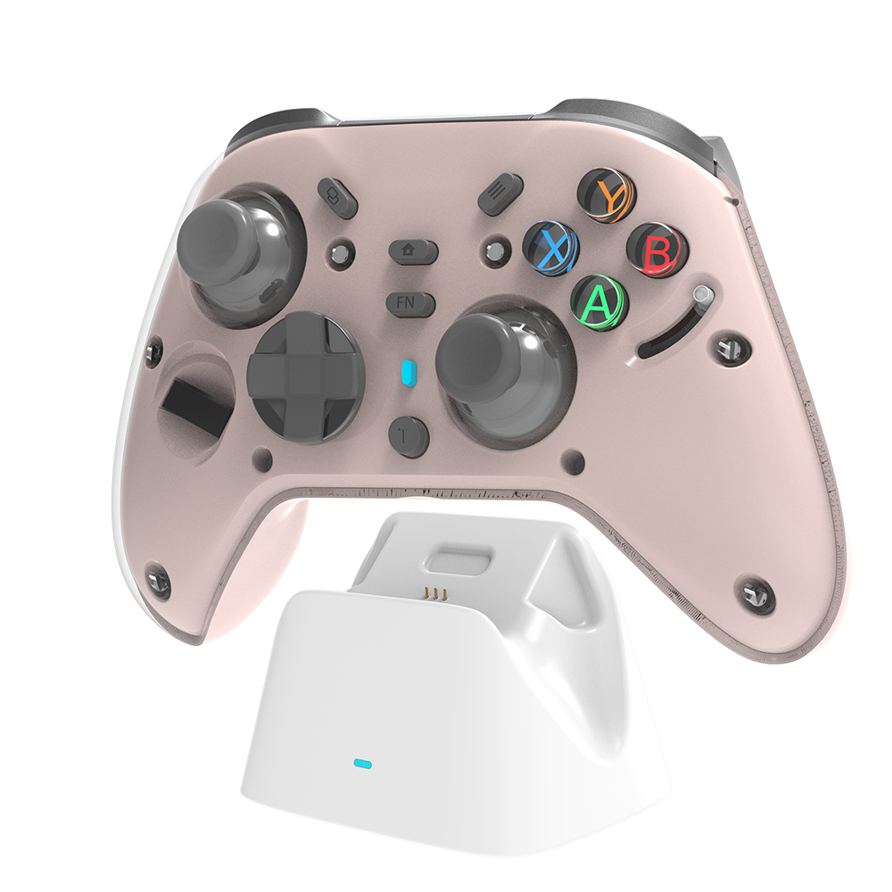 OEM for Switch Pro Controller for Switch/Switch2 with RGB and Charging Dock - Image 3