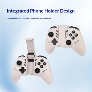 Switch controller